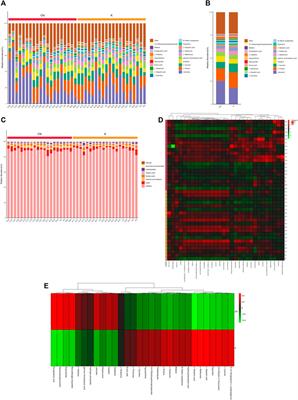 Metabolomic Profiling Reveals That 5-Hydroxylysine and 1-Methylnicotinamide Are Metabolic Indicators of Keloid Severity